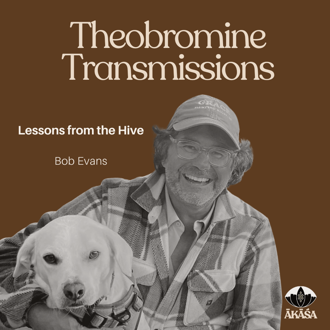 Theobromine Transmissions Ep 08 — Bob Evans: Lessons from the Hive